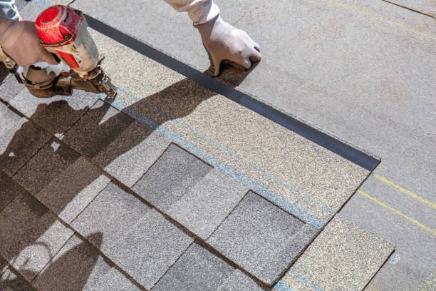 Best Roof Coating and Sealing  in North Lima, OH